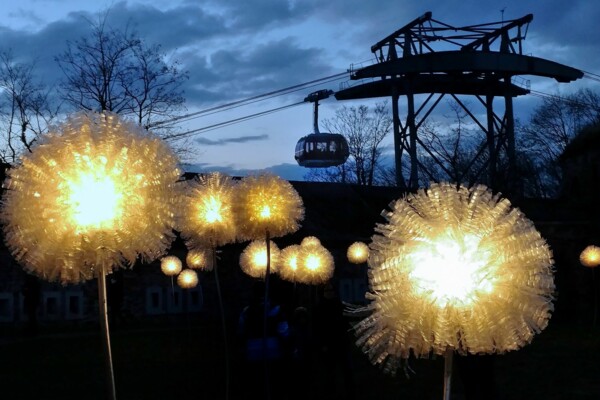 Beleuchtete Pusteblumen mit der Seilbahn Koblenz im Hintergrund ©Copyright by Skyglide Event Deutschland GmbH