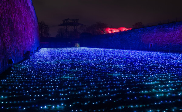 Illuminated lawn of the fortress plateau in Koblenz ©Christmas Garden, Michael Clemens