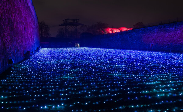 Beleuchtetes Rasen auf dem Festungsplateau in Koblenz ©Christmas Garden, Michael Clemens